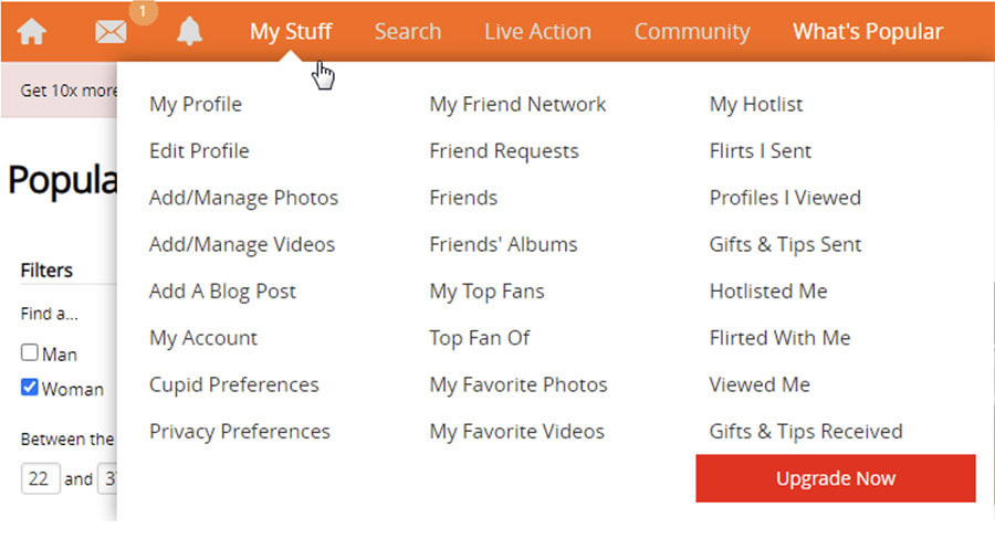 FriendFinder interface